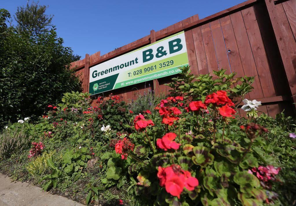 Greenmount Bed And Breakfast Белфаст Екстериор снимка